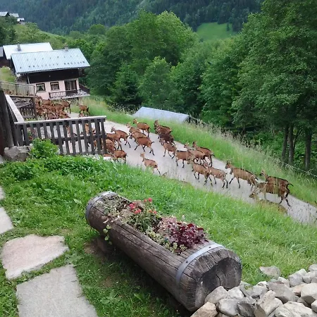 Le Refuge des Marmottes-3